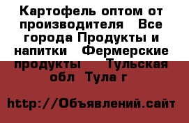 Картофель оптом от производителя - Все города Продукты и напитки » Фермерские продукты   . Тульская обл.,Тула г.